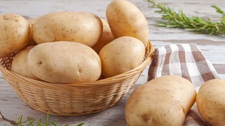 ¿Por qué América es el hogar de los superalimentos?