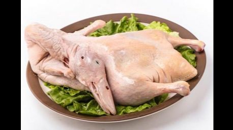 Poultry processing tips: Quick feather removal technique for chickens and ducks