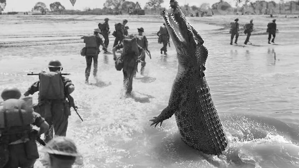 Ramree Island Swamp