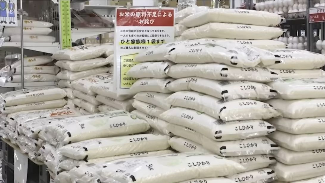 ¿Por qué Japón tiene una grave escasez de arroz?