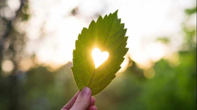 Learn to be selfless in life