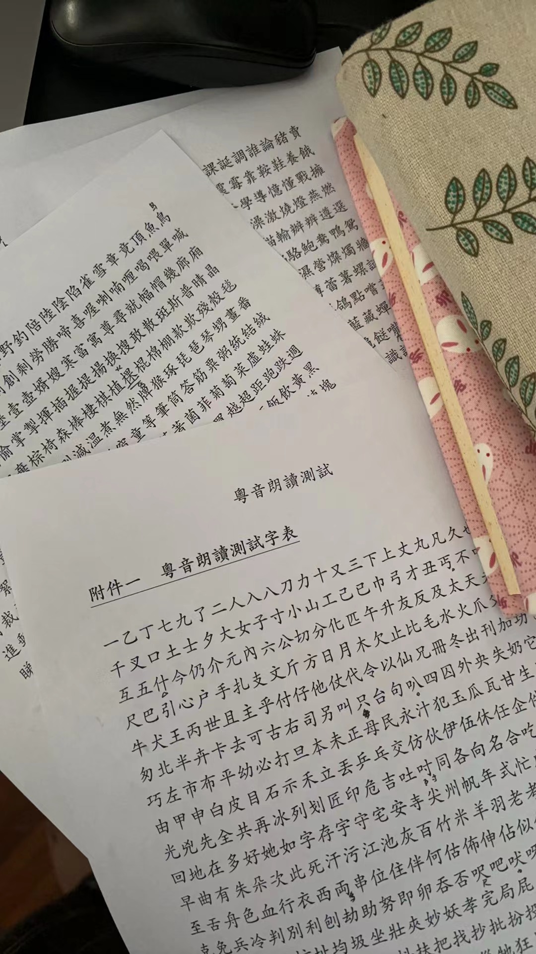 The days I prepared for the Cantonese reading test with Teacher M (Cantonese article)