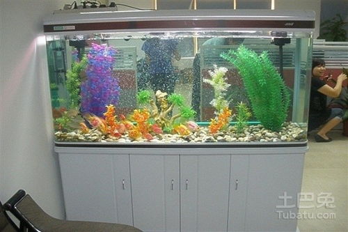 Fish can also have their own space for activities
