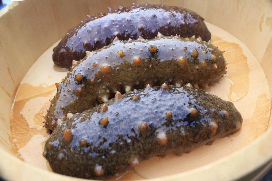 ¿Tienen realmente una base científica los suplementos como el pepino de mar, el ginseng y el nido de golondrina, que a menudo son considerados como milagrosos?